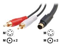 CABLES TO GO 3M VALUE SERIES S-VIDEO   RCA