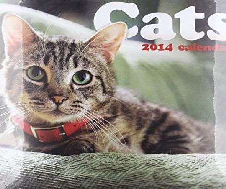 Calendar Cats Wiro W (Calendar 2014)