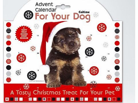 Caltime Dog Advent Calendar 2015