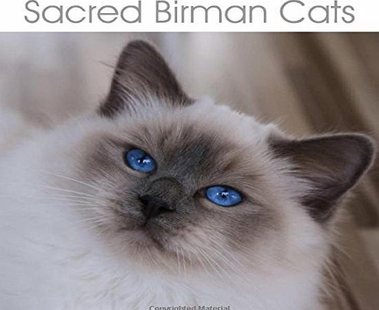 Calvendo Sacred Birman Cats: Blue Eyes, White Paws - the Birman Cats Calendar (Calvendo Animals)