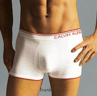 Calvin Klein Pro Seamless White Trunk