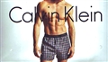 Calvin Klein Traditional Fit Boxer Size 30