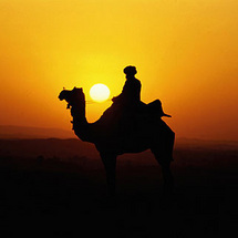 Safari with Bedouin Dinner - Adult