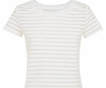 White Mesh Stripe T-Shirt 3236535