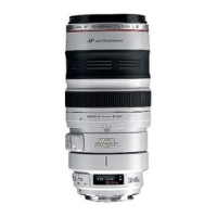 Canon Zoom Lens 100-400mm F/4.5-5.6 L Is Usm