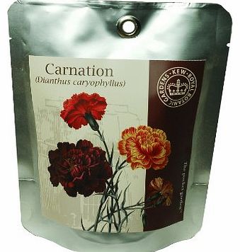 Canova Garden Kew Grow Carnation Pocket Gardens Kit