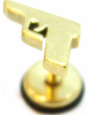 Caprilite Gun Gold Surgical Stainless Steel Stud Earring Body Jewellery Fake Stretcher Mens Gothic Top Tragus