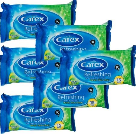 Carex, 2102[^]0073358 Refreshing Soft Cleansing Wipes - 6 Pack