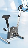 Carl Lewis EX30 5kgs Exercise Bike