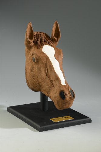 PegSculpture 569 Toy Horse Reconstruction Kit