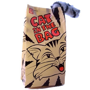 Cat in a Bag