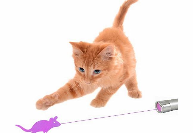The Ultimate Fun Cat Laser Toy With A Bright Mouse Animation For Easy Visibility & Endless Fun! All Orders Are Packaged With Batteries & Instructions