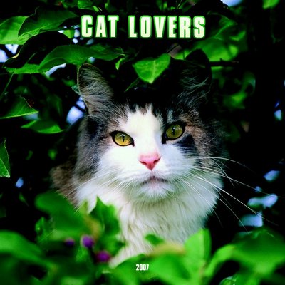 Cat Lovers 2006 Calendar