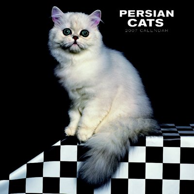 Cats Persian Cats 2006 Calendar