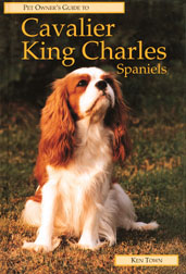 CAVALIER King Charles Spaniel