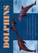 Caxton GIFTCARDS Dolphins