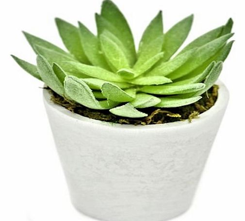 Artificial Potted 10cm Spiky Leaf Succulent House Plant