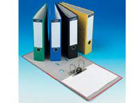 EXP foolscap yellow upright lever arch file with