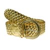 CelebSeen Accessories CelebSeen Gold Braided Belt (also available in