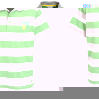 Celtic Heritage 67 Polo Top - Green/White/Grey.