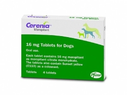 Cerenia Tablets:4x16mg