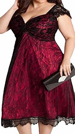 Cfanny Womens Elegant Lace Embellished Plus Size Cocktail Dress,Red,XX-Large(UK 22-24)