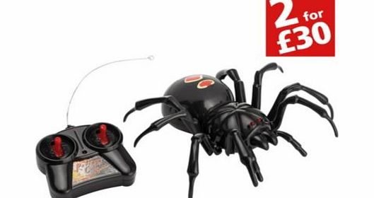 Radio Controlled Black Widow Spider