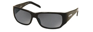 5056 Sunglasses