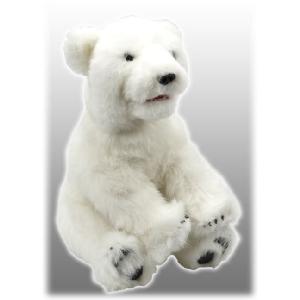 Alive Polar Bear
