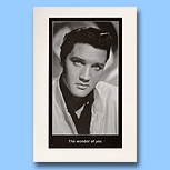 Chatterbox Elvis Presley