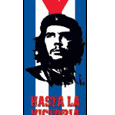 Che Guevara Flag Door Poster