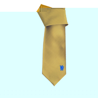 chelsea Tie - (Gold Colour).