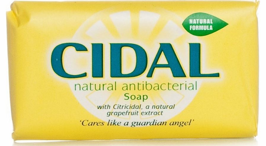 Cidal Natural Antibacterial Soap