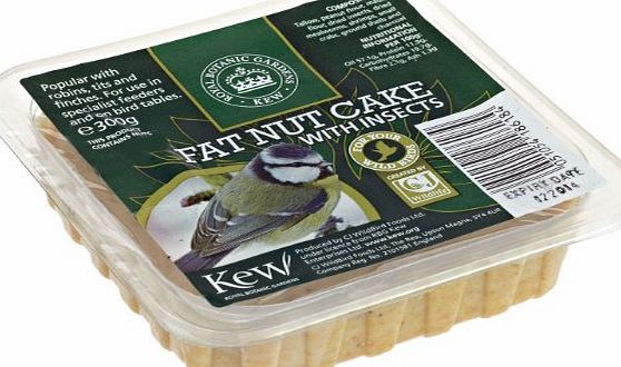 CJ Wildbird Foods Ltd Kew Wildlife Care Collection 300g Fat Nut Cake with Insects Square