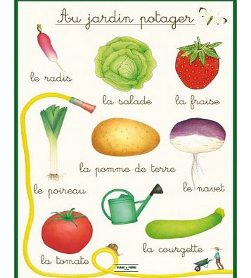 Educational poster - vegetable garden `One size