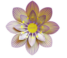 Clara von Zweigberg Thank You Purple
