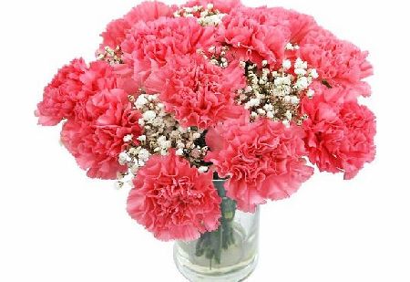 Clare Florist Perfectly Pretty Pink Carnations Fresh Flower Bouquet