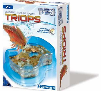 Clementoni Breed Your Own Triops Kit