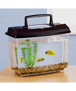 Water Fish Starter Kit