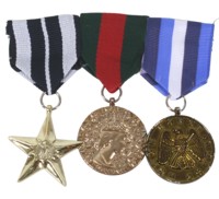 combat Hero Medals (Multi)