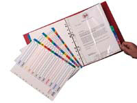 Concord CS96 extra wide multi coloured dividers,
