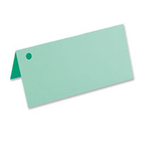 Confetti 1 hole mint coloured place cards