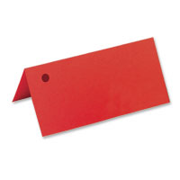Confetti 1 hole red coloured place cards