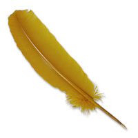 Confetti gold feather ballpoint quill