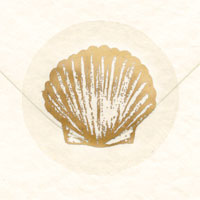 Confetti gold shell envelope seals