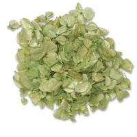 Confetti Green hydrangea petals in acetate box