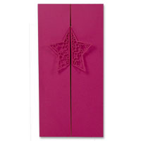 Hot pink star DL outer pk of 10