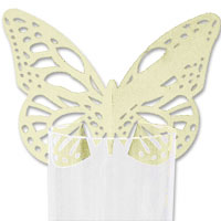 Iory lasercut butterfly place card pk10