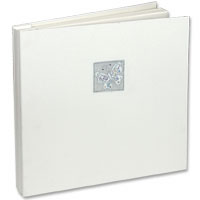Silver Butterfly design large album