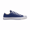 Converse ALLSTAR LOW TOP TRAINERS